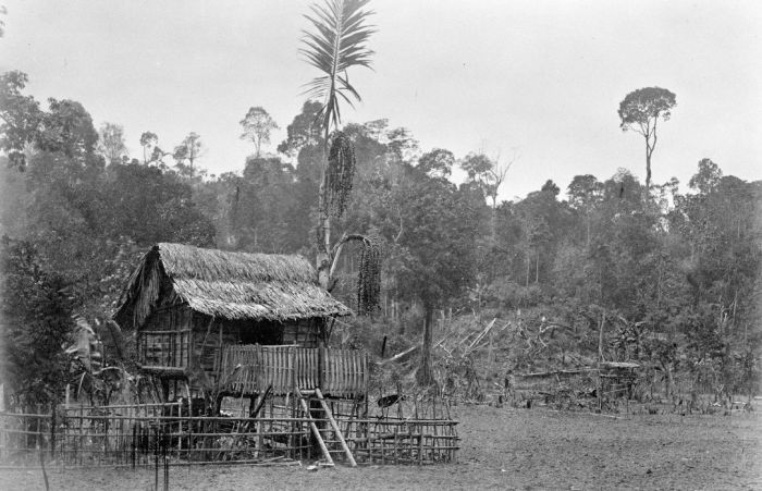 File:COLLECTIE TROPENMUSEUM Een huis op de akker bij Soeroelangoen in het district Rawas Sumatra TMnr 60002783.jpg