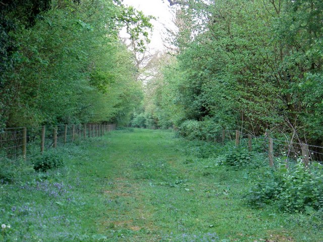 File:Crow Lane - geograph.org.uk - 417891.jpg