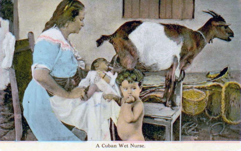 Human–animal breastfeeding - Wikipedia
