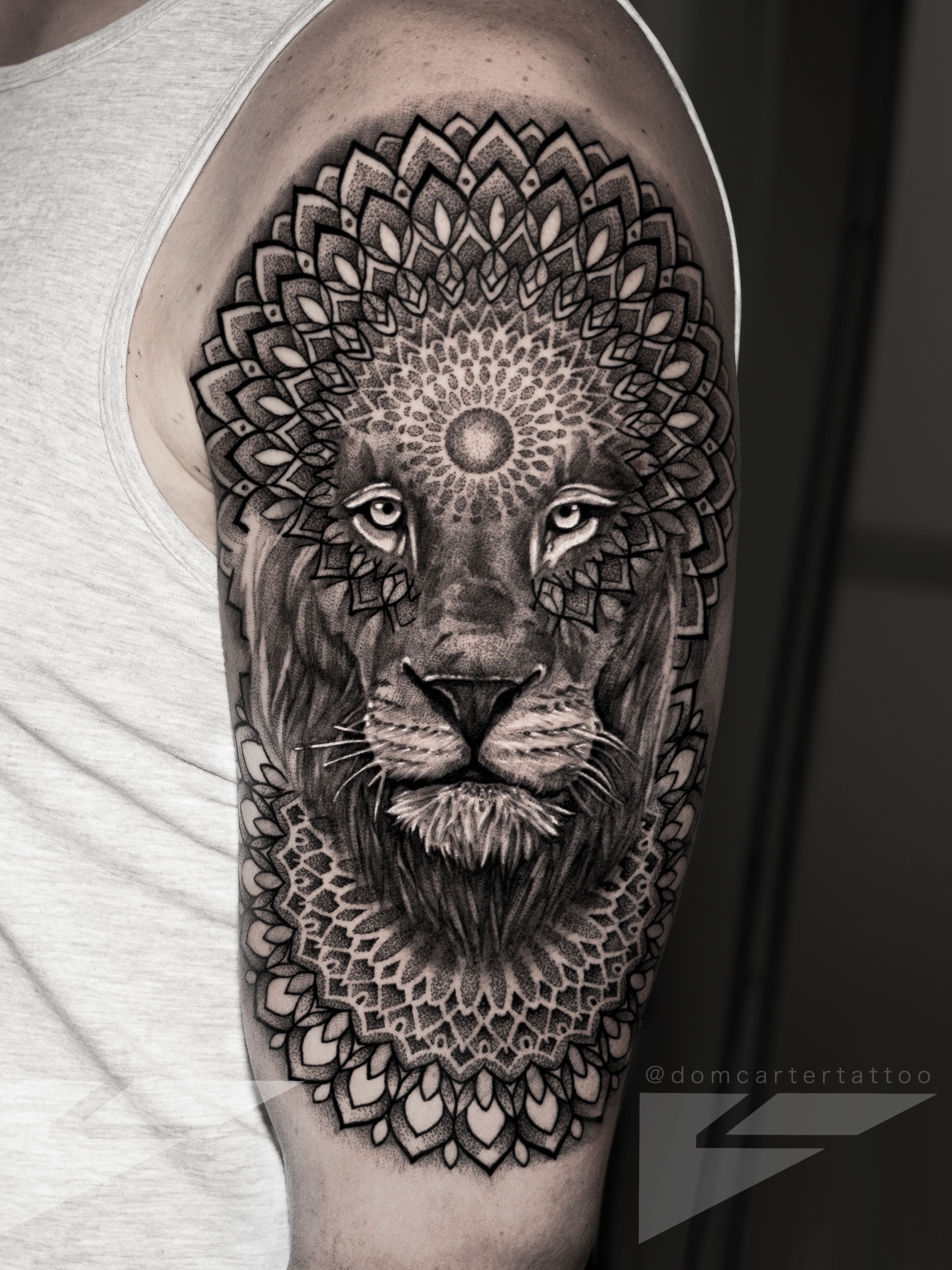 Tribal Lion Tattoo – Tattoo for a week