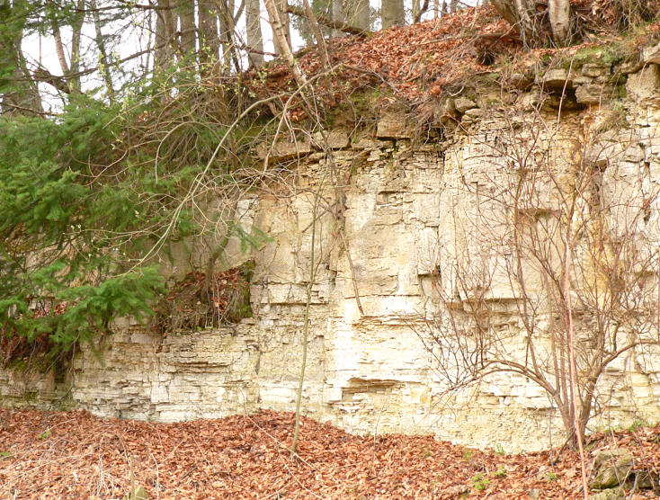 File:Elmkalkstein Hang.jpg