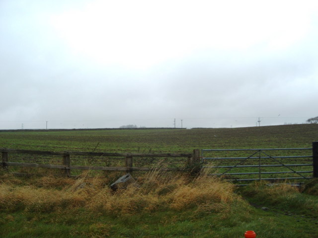 File:Field beside the A69 - geograph.org.uk - 604516.jpg