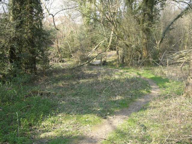 File:Footbridge over the Hornbrook - geograph.org.uk - 385680.jpg