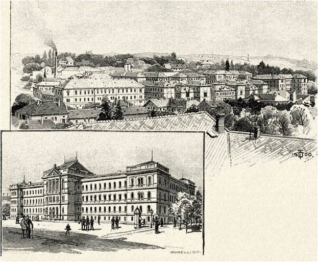 File:Franz Josef University of Kolozsvár.jpg