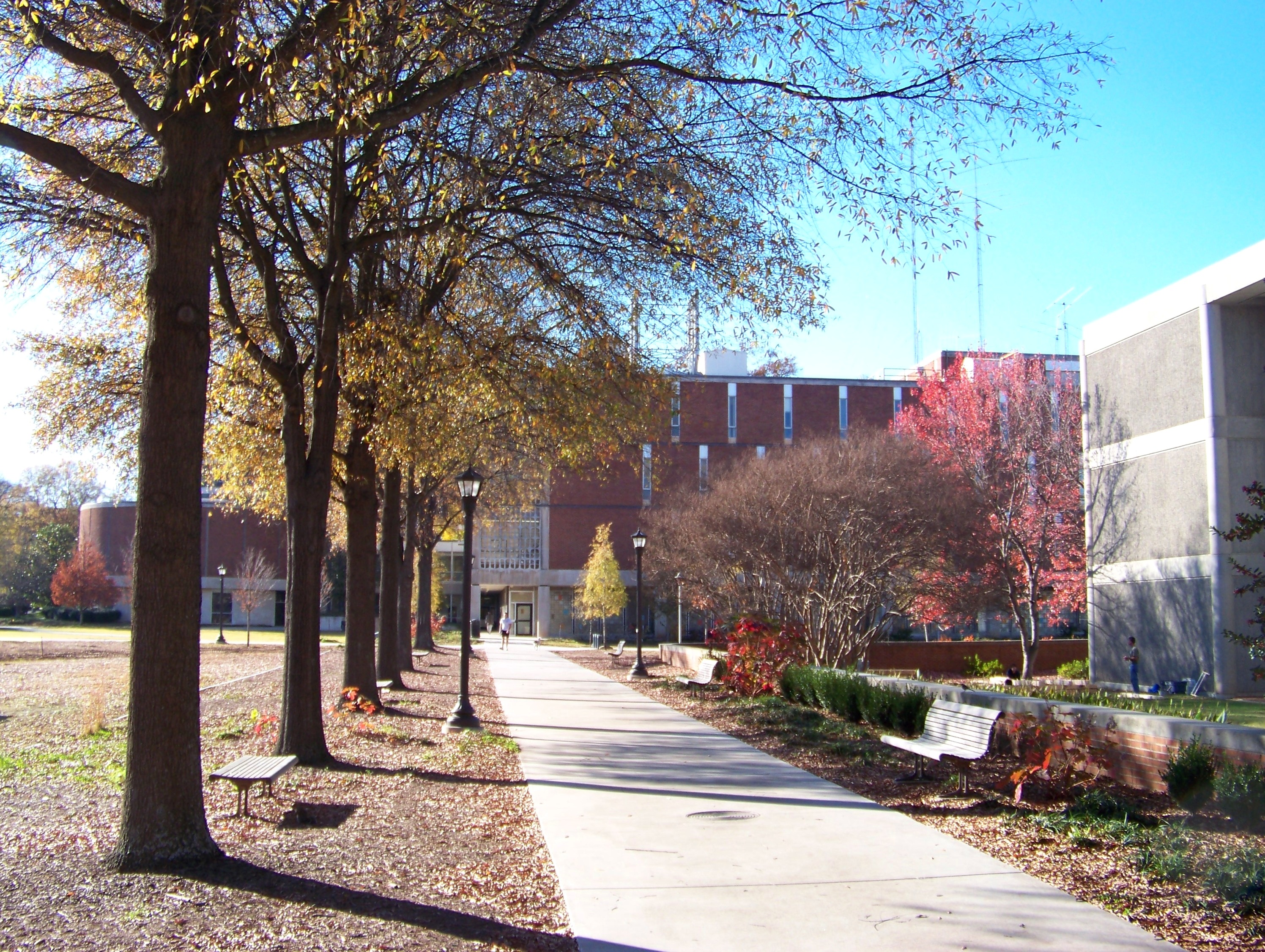 Georgia institute. Georgia Institute of Technology.