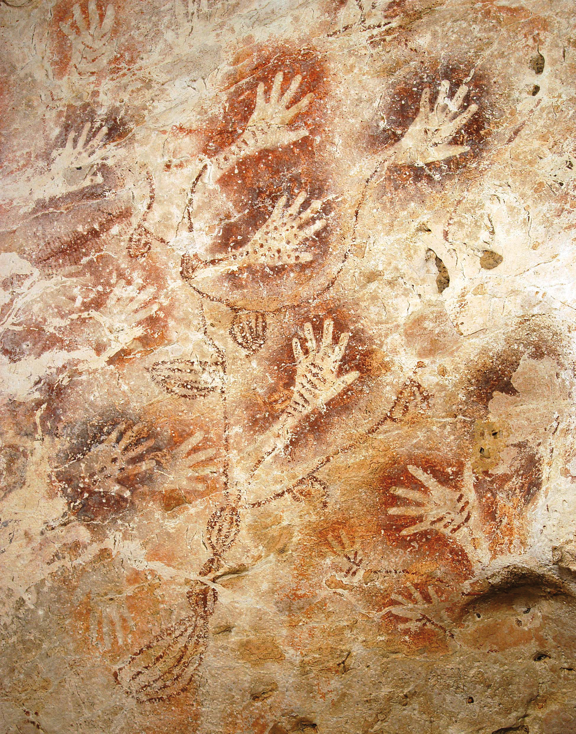 Image result for indonesia cave paintings