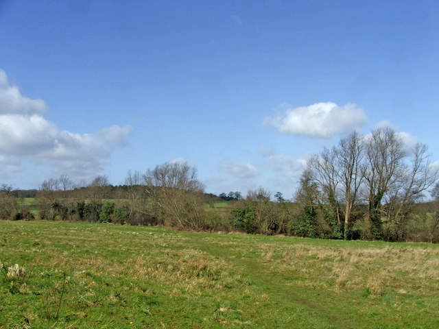 File:Hog Hill taken from footpath from Trentwood, Enfield - geograph.org.uk - 364255.jpg