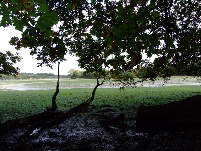 File:Looking towards Ardevora - geograph.org.uk - 584915.jpg