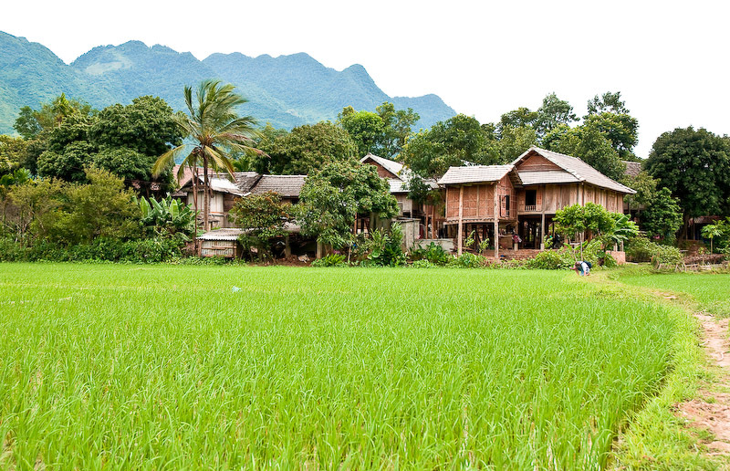 Huyện Mai Châu là một địa điểm du lịch nổi tiếng tại Việt Nam. Hãy chiêm ngưỡng những cảnh đẹp mộc mạc, yên bình của vùng nông thôn này qua những hình ảnh đẹp.