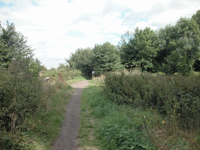 Nature reserve footpath - geograph.org.uk - 41915