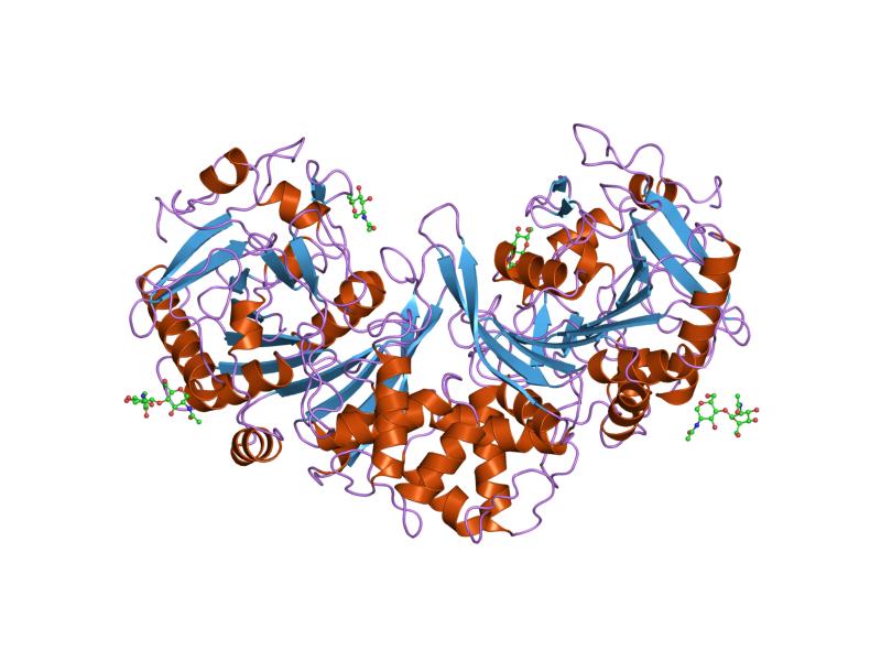 File:PDB 1ivy EBI.jpg