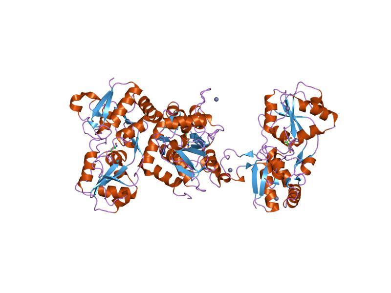 File:PDB 1ms7 EBI.jpg