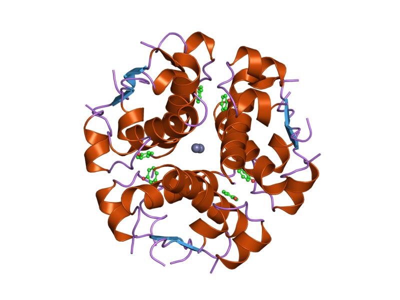 File:PDB 1wav EBI.jpg