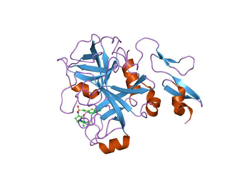 File:PDB 2uwl EBI.jpg