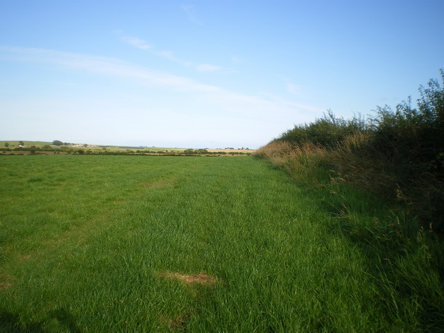 File:Pasture land near Chapel Outon Farm - geograph.org.uk - 1444242.jpg