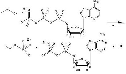 File:Protein Kinase.jpg