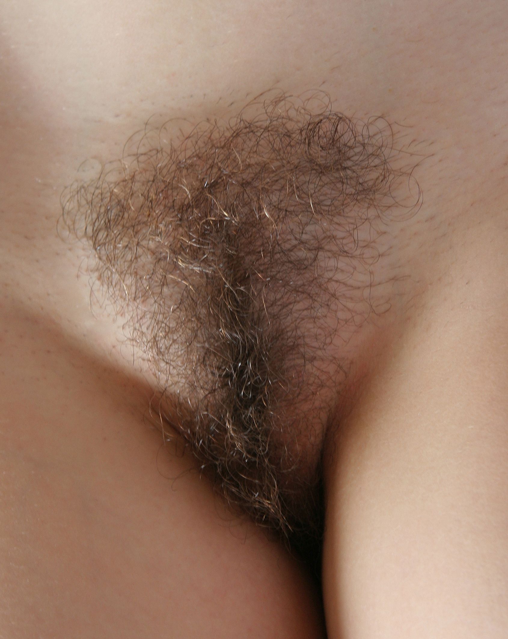 Female Pussy Hair 70