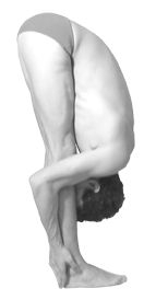 File:Raja padahastasana.jpg