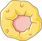 Reproductive system - Ovary cycle 2 -- Smart-Servier.png