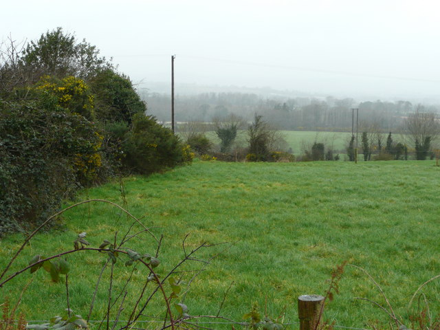 File:Rich pastures - geograph.org.uk - 705757.jpg