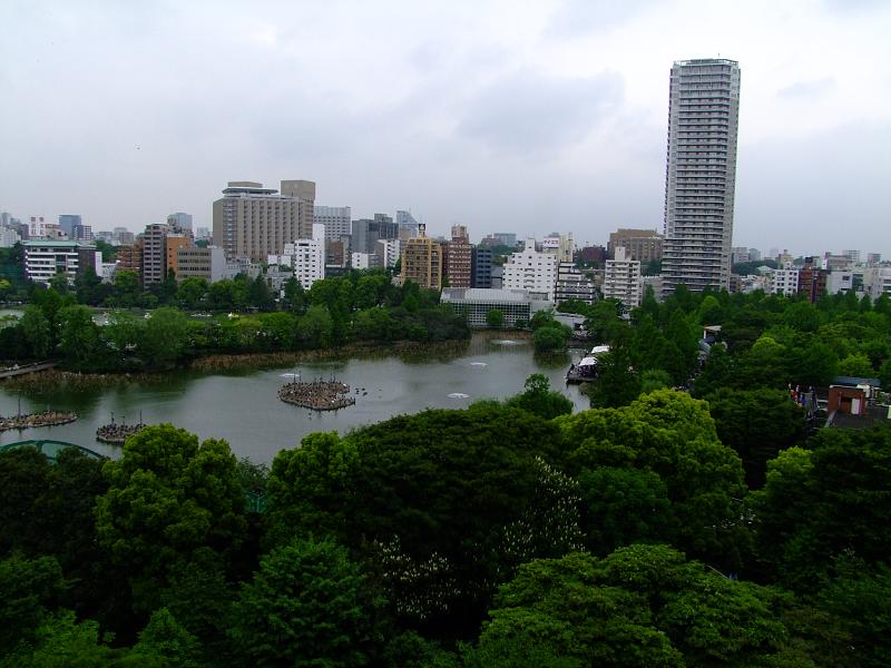 File:Shinobazu pond.jpg