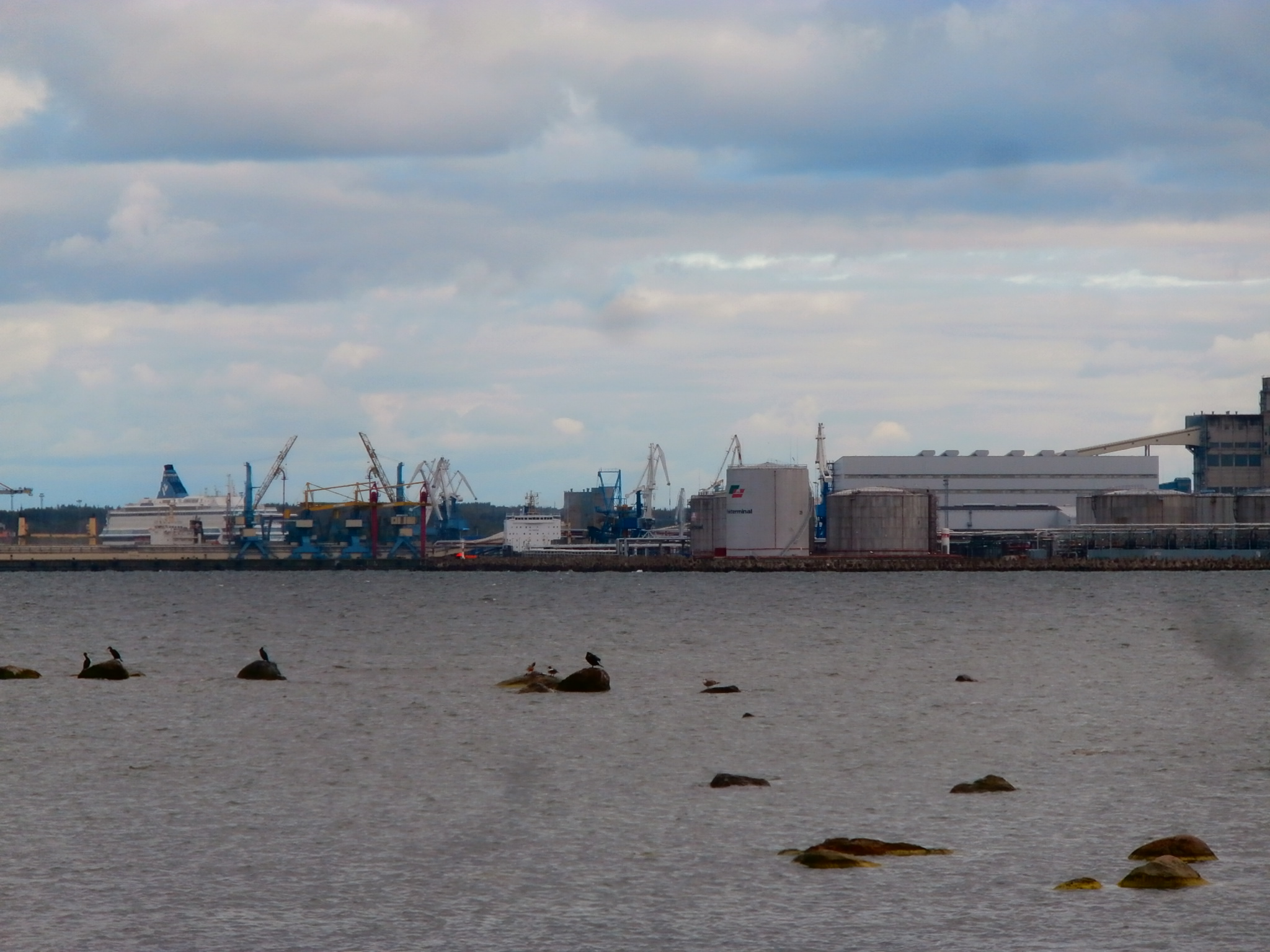File:Silja Europa at Quay 14 and Novaya Zemlya at Quay 8 in Port of Muuga  16 September  - Wikimedia Commons