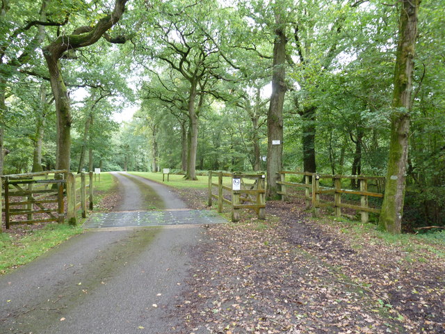 File:South Downs Society Green Travel Walks Week (284) - geograph.org.uk - 2809255.jpg