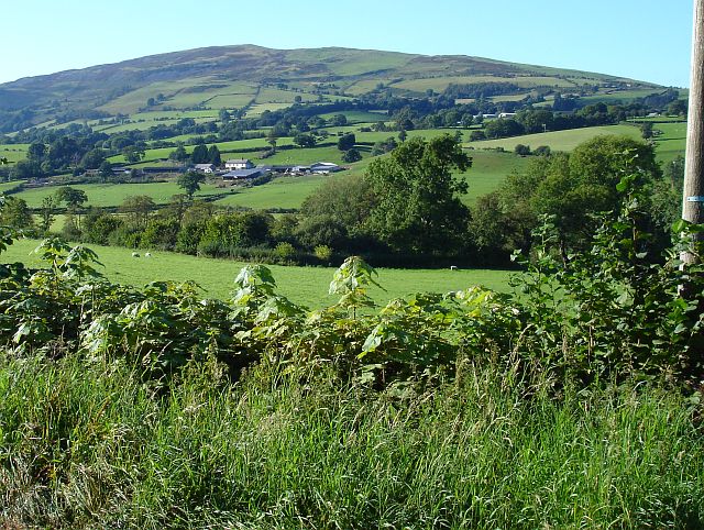 File:Tanat Valley - geograph.org.uk - 547357.jpg