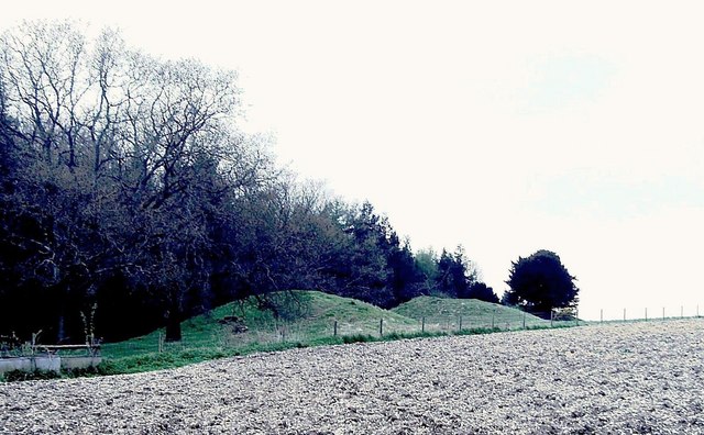 File:The Devil's Jumps, Treyford Hill - geograph.org.uk - 348942.jpg