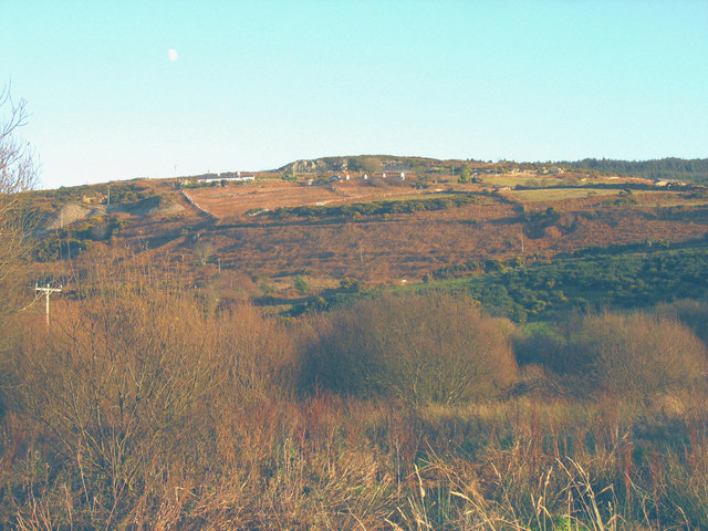 File:The bracken covered western slope of Mynydd Nefyn - geograph.org.uk - 671971.jpg