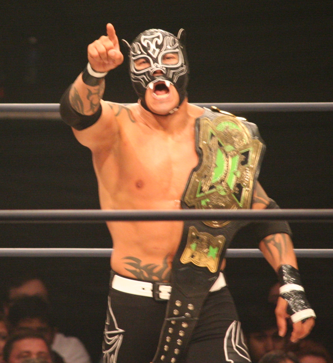 File:Tigre Uno X Division Champ.jpg - Wikipedia