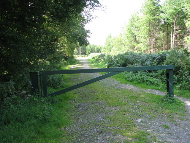 Track into East Harptree Woods - geograph.org.uk - 2017348