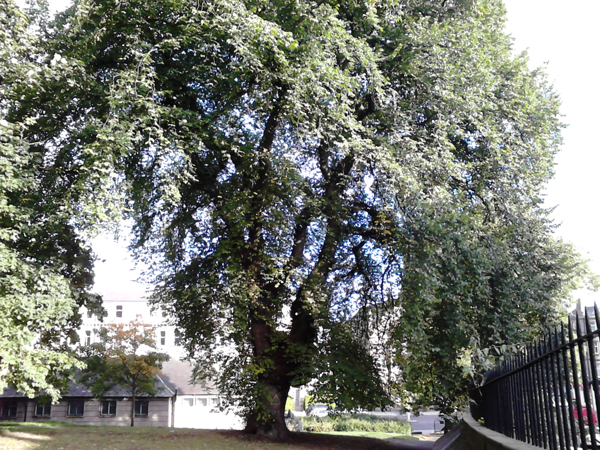 London Road Gardens, Edinburgh