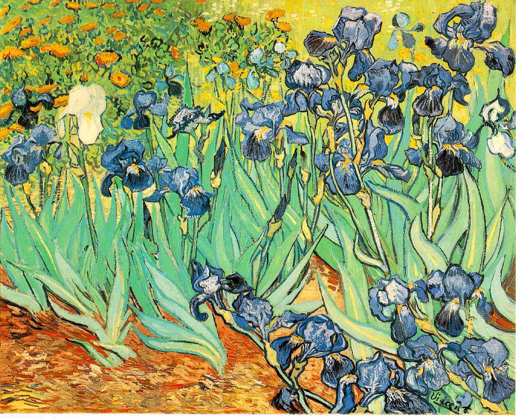 Irises (painting) - Wikipedia