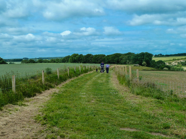 Walking the Trail - geograph.org.uk - 3536808