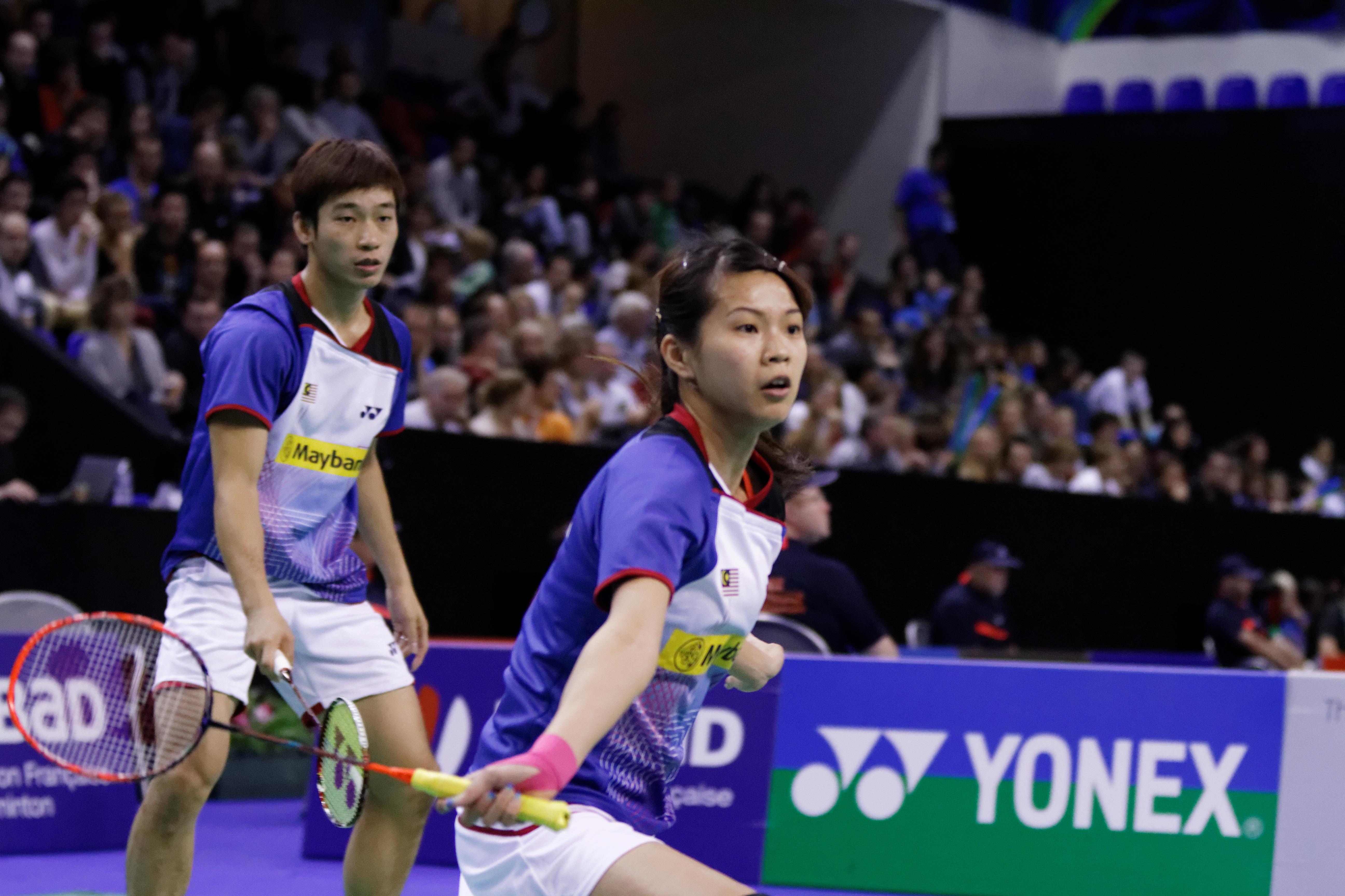 Datei Yonex Ifb 2013 Eightfinal Chan Peng Soon Goh Liu Ying Chris Langridge Heather Olver 23 Jpg Wikipedia