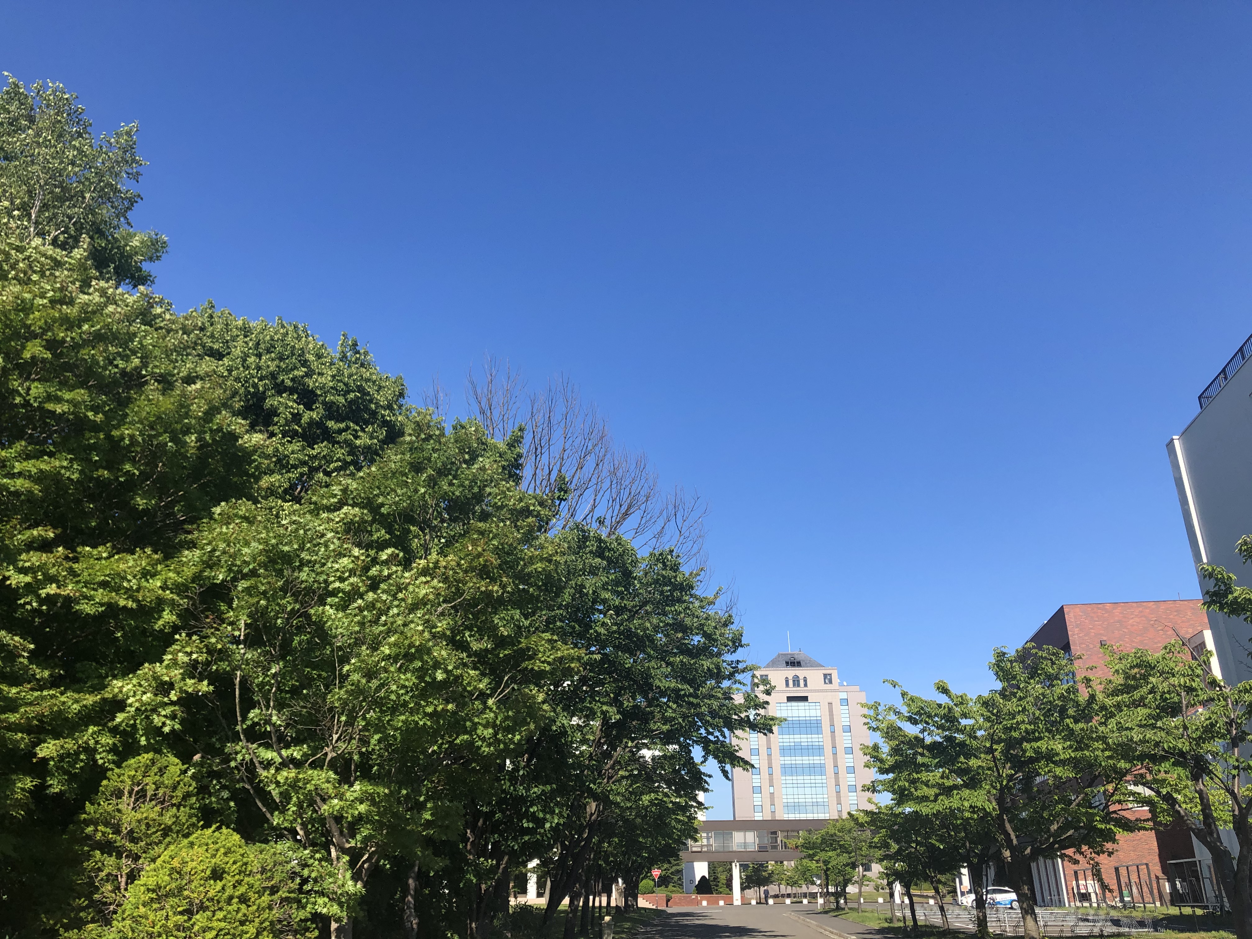 法学部 広島 大学