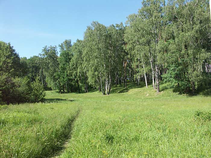 Фото в барыбино