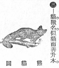 File:小熊猫圖.png