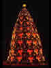 File:1995 National Christmas Tree small.jpg