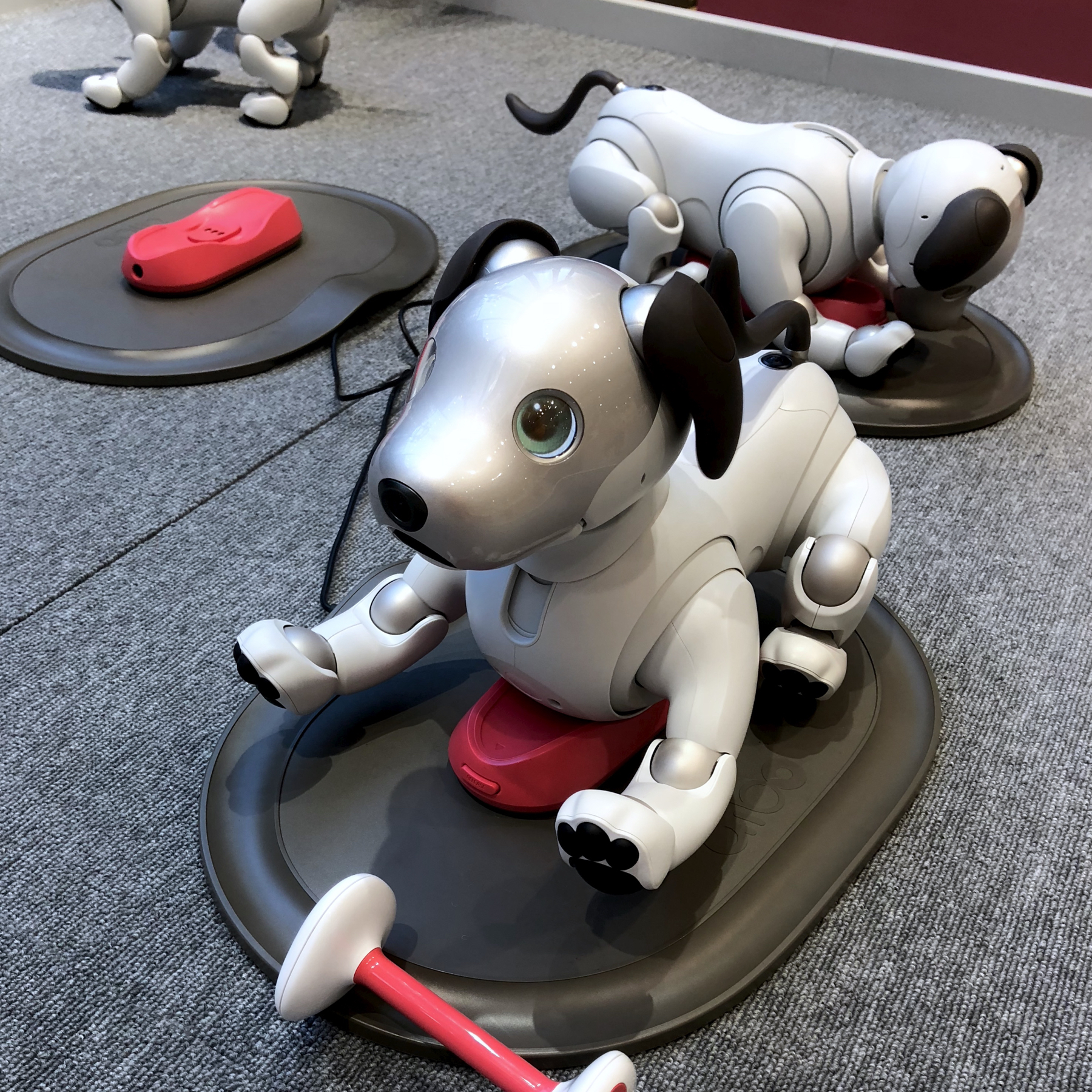 値下げ】SONY ソニー aibo アイボ ERS-1000/W - おもちゃ