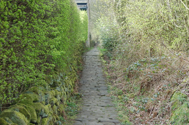 File:Ancient Foot way - geograph.org.uk - 756890.jpg