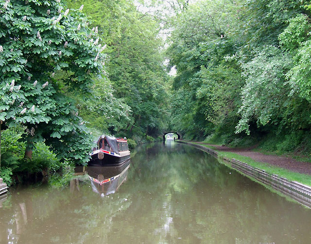 File:Approaching Cowley Tunnel, Staffordshire - geograph.org.uk - 1388471.jpg