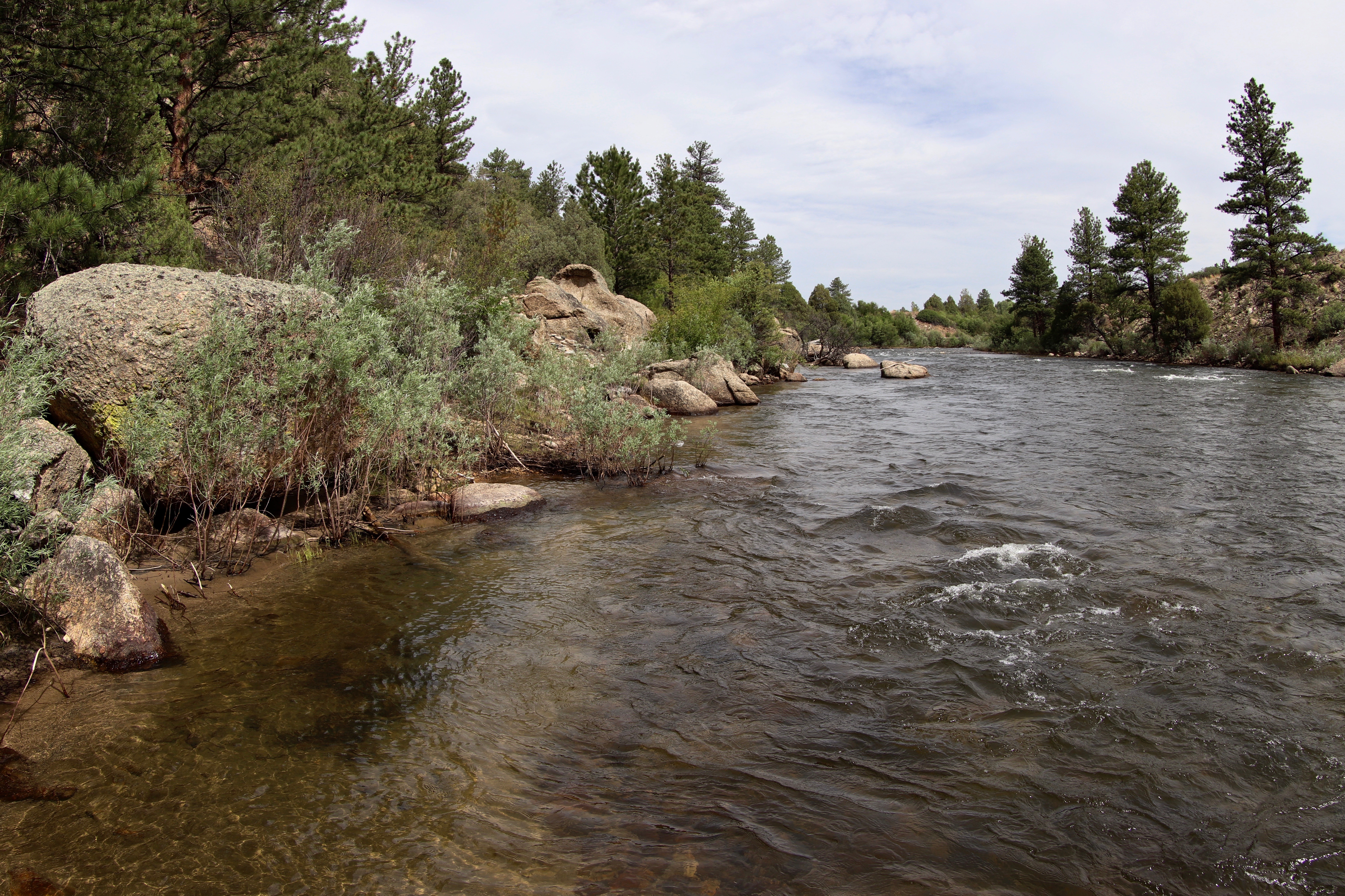 Lake Fork of the Gunnison Rainbow: Lake City — Beutler Design & Illustration