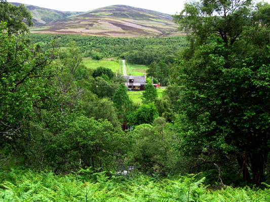 File:Aucholzie, Glen Muick - geograph.org.uk - 876586.jpg