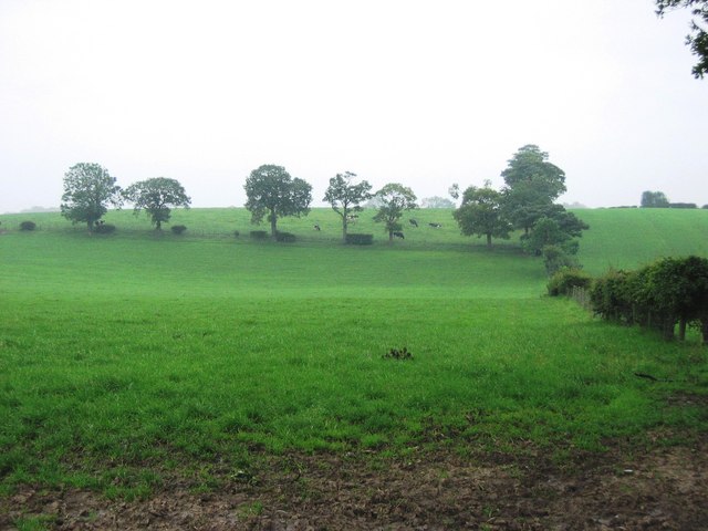 File:Bracken Hill - geograph.org.uk - 481700.jpg