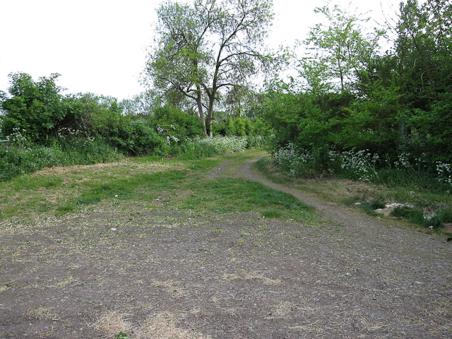 File:Byway to Rampton Road - geograph.org.uk - 1308613.jpg