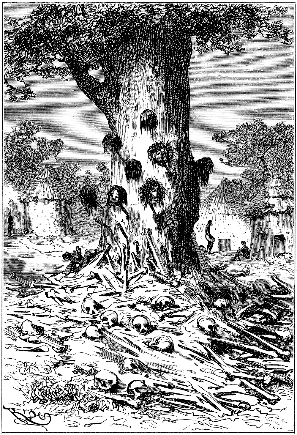 Дерево людоед. Дерево людоед Мадагаскар. Мифология дерево людоед.