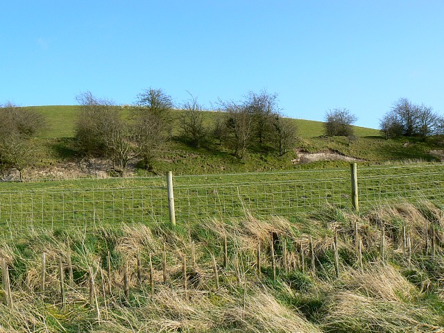 File:Earthworks, near Liddington Hill - geograph.org.uk - 743519.jpg