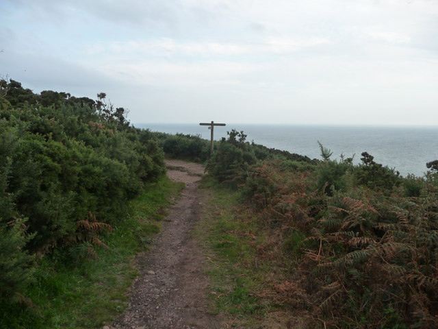 File:East Devon , Coast Path, Bushes and Signpost - geograph.org.uk - 1478062.jpg